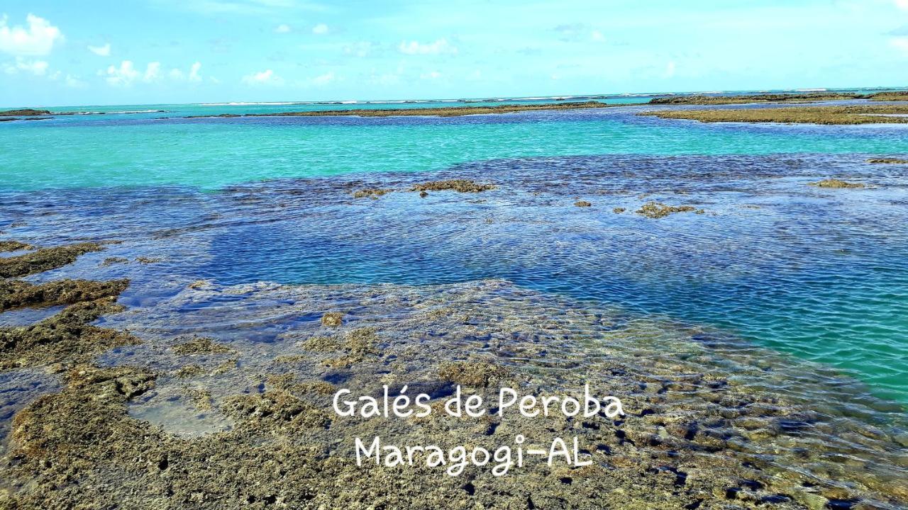 מראגוג'י Parque Dos Coqueiros- Bangalos E Suites מראה חיצוני תמונה